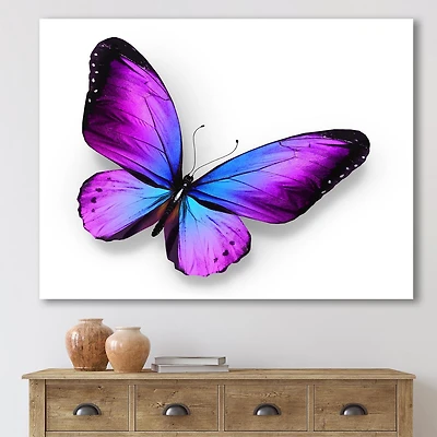 Designart Papillon violet et bleu Art mural sur toile