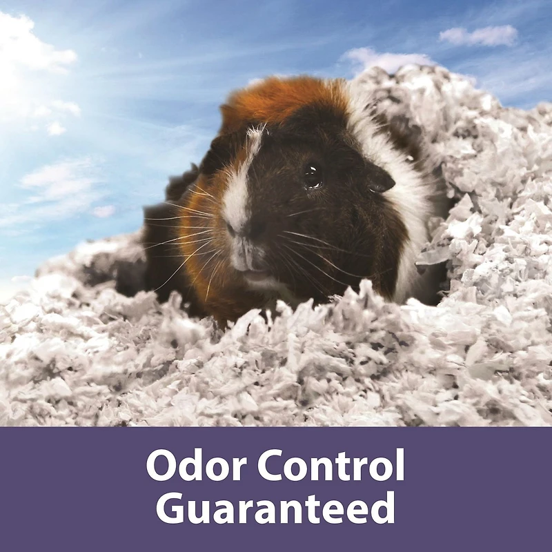 Litière lavande Clean Comfort Forti-Diet de Kaytee 24,6 litres de litière lavande