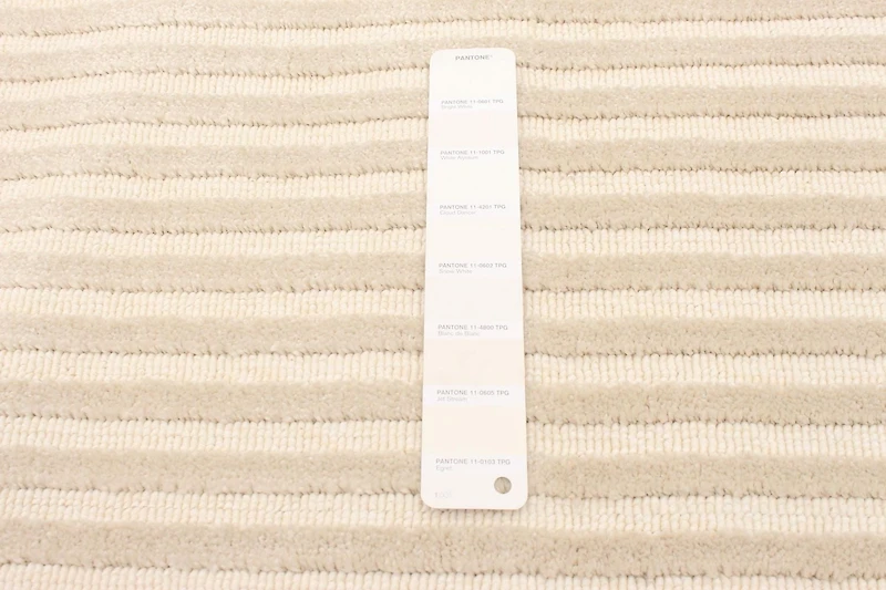 Tapis ECARPET Moderne pour Salle à Manger, Salon, Chambre Trona Ivoire