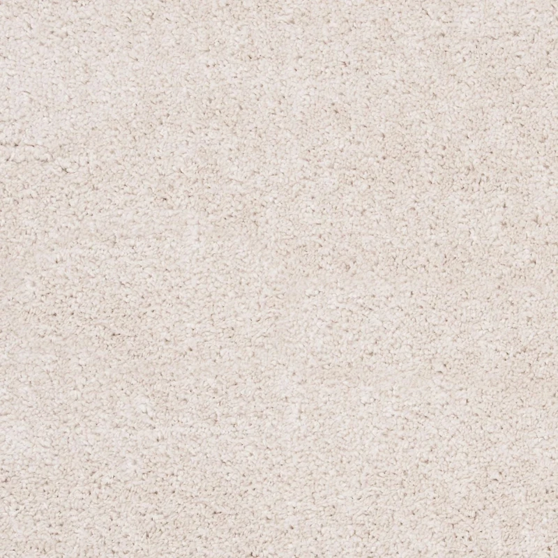 SAFAVIEH August Carlene Solid Plush Shag Area Rug