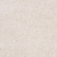 SAFAVIEH August Carlene Solid Plush Shag Area Rug