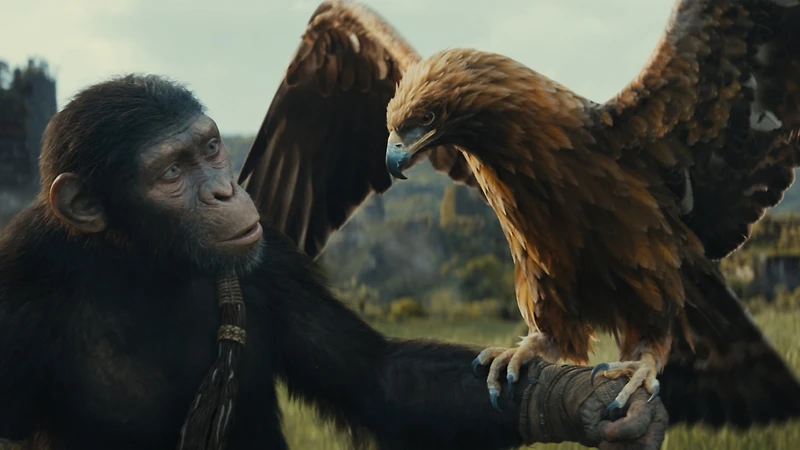 Le Royaume de la Planète des Singes - DVD | Bilingual| Owen Teague, Freya Allan, Kevin Durand, Peter Macon, William H. Macy | Disney; Action, Science Fiction