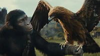 Le Royaume de la Planète des Singes - DVD | Bilingual| Owen Teague, Freya Allan, Kevin Durand, Peter Macon, William H. Macy | Disney; Action, Science Fiction