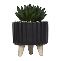 Plante grasse artificielle Cozby dans un pot noir de hometrends