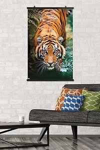 Tigre