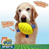 Hartz Dura Play Sports Ball Football Dog Toy, Dura Play Football