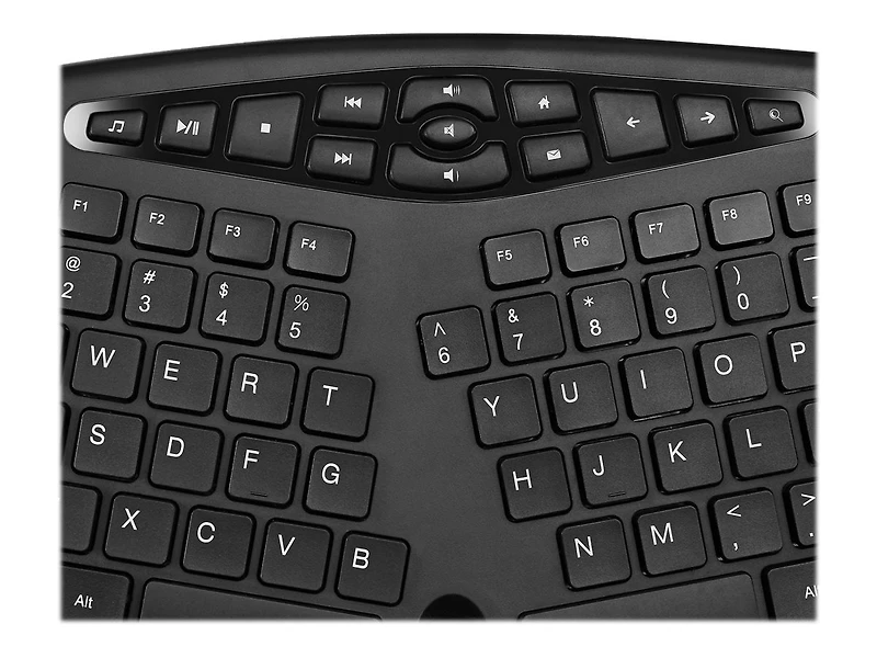 Adesso French Canadian Ergonomic Desktop Keyboard