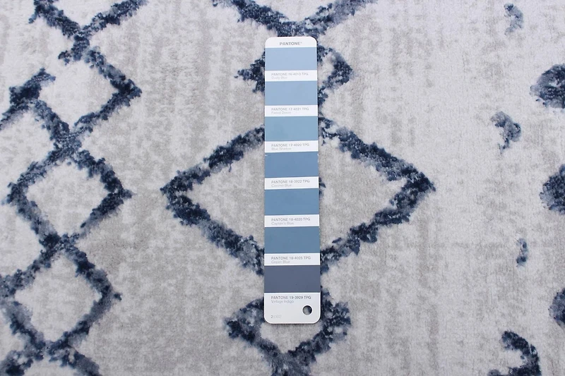 Ecarpet Geometric Indoor Area Rug Astrid Collection