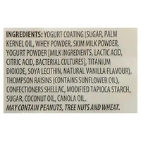 Raisins secs trempés dans le yogourt 375g