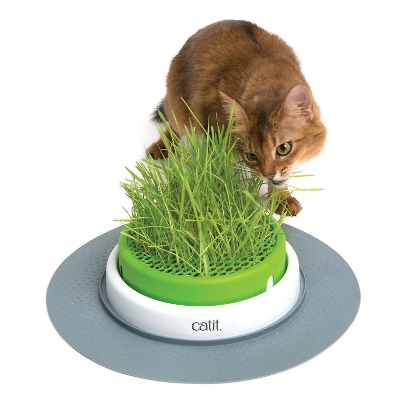 Catit Senses 2.0 Grass Planter Cat Toy