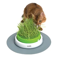 Catit Senses 2.0 Grass Planter Cat Toy