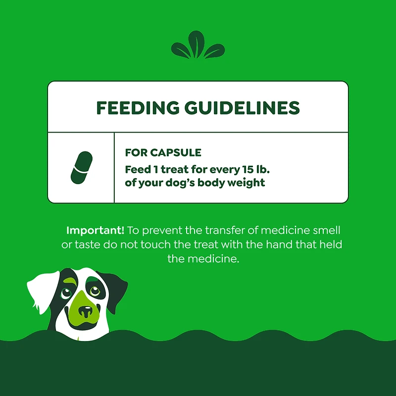Gâteries pour chiens adultes GREENIES PILL POCKETS format pour comprimés saveur de poulet