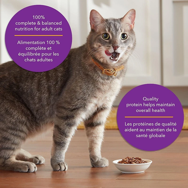 Meow Mix Tenders in Sauce with Real Salmon & Crab, Wet Cat Food, 78 g, Meow Mix TIS Salmon Crab