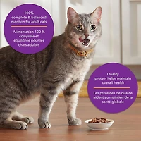 Meow Mix Tenders in Sauce with Real Salmon & Crab, Wet Cat Food, 78 g, Meow Mix TIS Salmon Crab