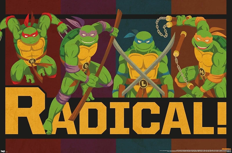 Tortues Ninja - Radical