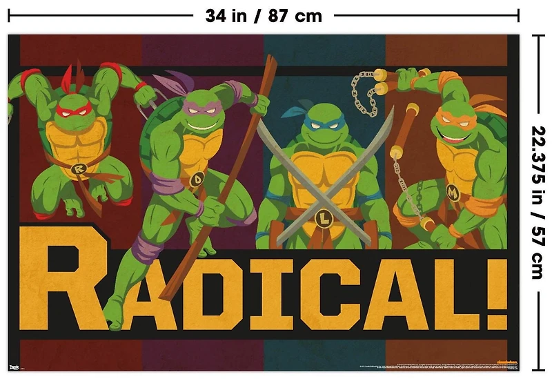 Tortues Ninja - Radical