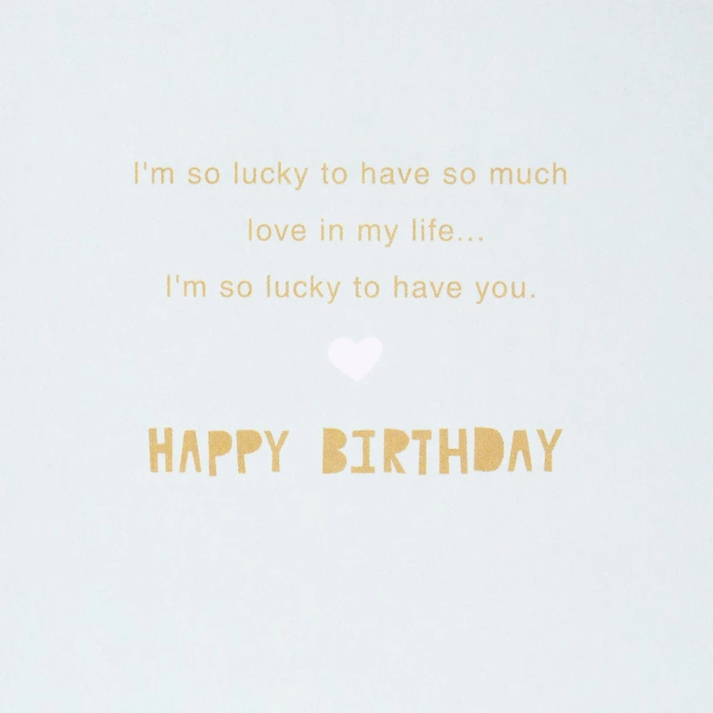 Hallmark Signature Birthday Card (Every Day I Love You)