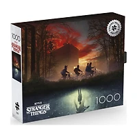 Buffalo Games Missing Friend 1000-Piece Interlocking Jigsaw Puzzle for Adults Ages 14-99 Years