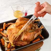 Tout-Pour-Célébrer Poire à Jus, Dinde Orange WAY-TO-CEL PL POIRE A JUS