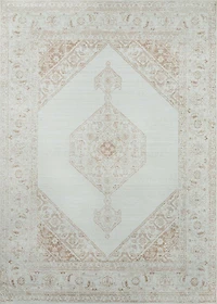 ECARPET Maude Traditional Area Rug for Living Room, Bedroom, Dining Room, Entrance, Hallway and More.