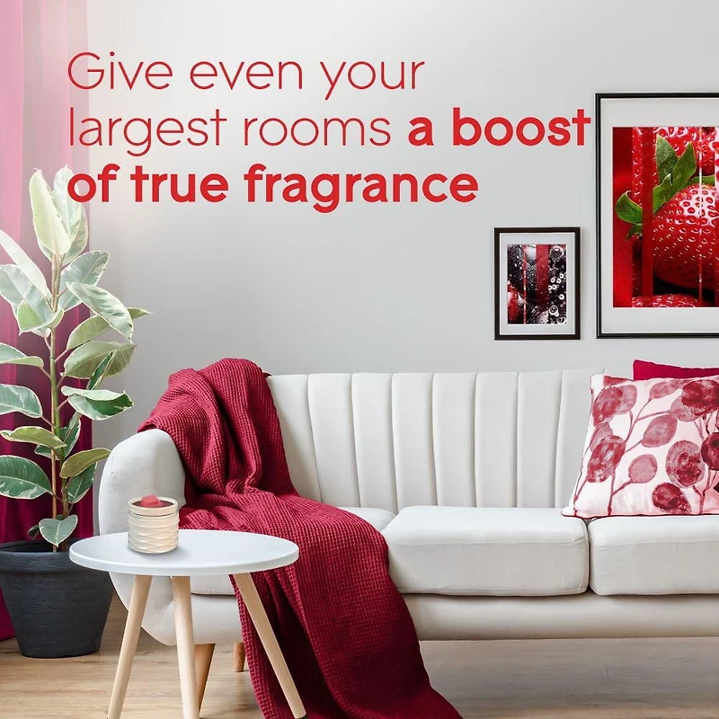 Glade® Cubes de Cire, Baies Rayonnantes 6 fondre