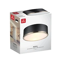 Globe Electric Selina 2-Light Metal Flush Mount Ceiling Light, Matte Black, Antique Brass Accents, Frosted Glass Shade, 60309