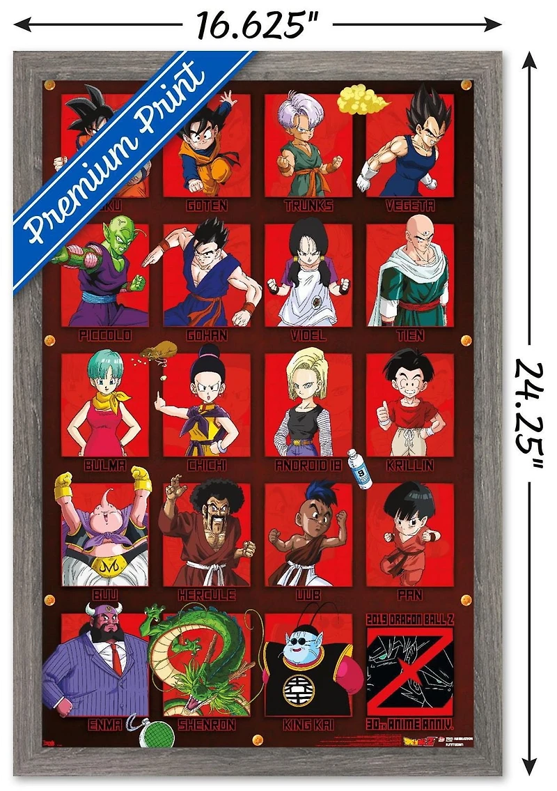 Dragon Ball Z - Anniversary Wall Poster, 14.725" x 22.375"