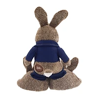 Way To Celebrate Peter Rabbit Booties with Toy