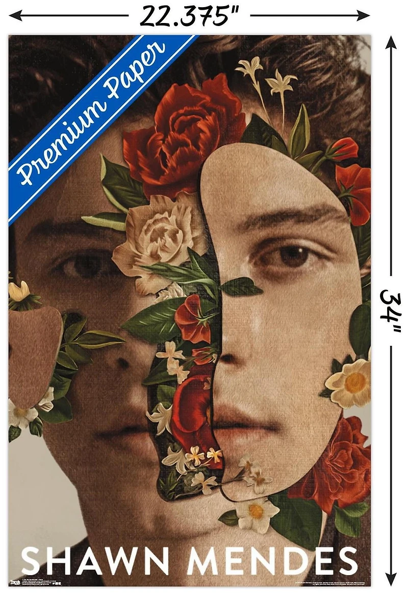 Shawn Mendes - Fleurs