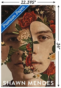 Shawn Mendes - Fleurs