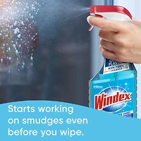 Windex Original Blue Glass and Window Cleaner, Bottles Made from 100% Recycled Plastic, 765mL