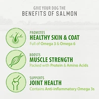 Caledon Farms Bouchées de saumon lyophilisées Friandises entièrement naturelles pour chiens 90 g