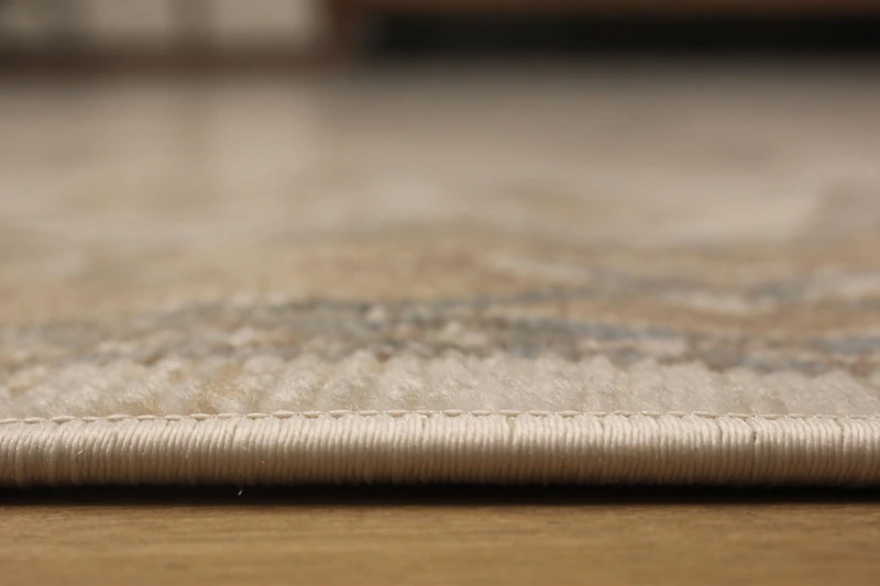 ECARPET Stassie Traditional Area Rug for Living Room, Bedroom, Dining Room, Entrance, Hallway and More.