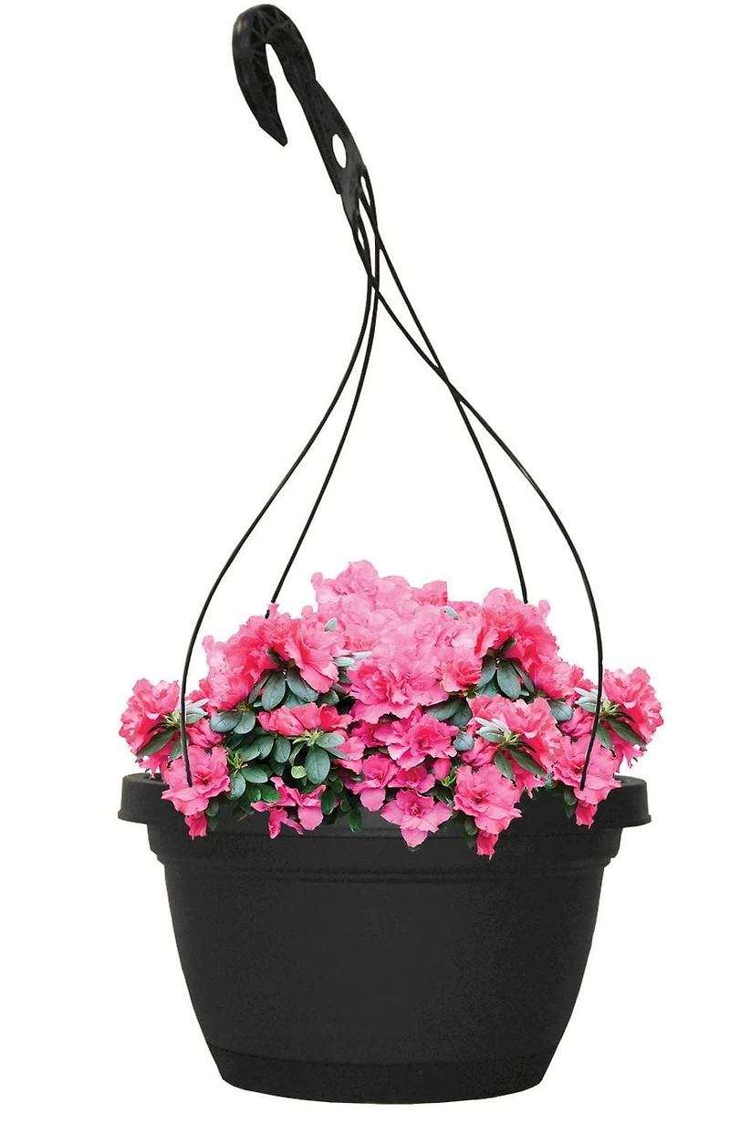 Jardinière suspendue Infinity d'Akro-Mils de 12 po avec reserve d'eau Jardinière suspendue de 12 po