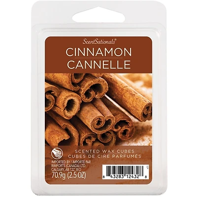 Cubes de cire parfumée ScentSationals - Cannelle 2,5 fois (70,9 g)