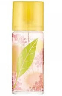 GREEN TEA MIMOSA L - FRENCH