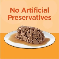 IAMS Perfect Portions Pâté Healthy Adult Recette au poulet et Recette au saumon sans céréales 12x75g