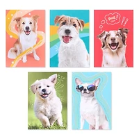 American Greetings - Assortiment en boîte de 15 cartes sans texte et enveloppes, chiens amusants