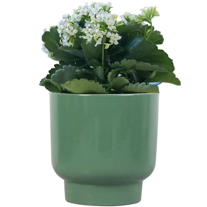 Mainstays 6in Petra Small Ceramic Green Planter, Stylish pot for small plants