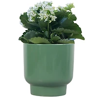Mainstays 6in Petra Small Ceramic Green Planter, Stylish pot for small plants
