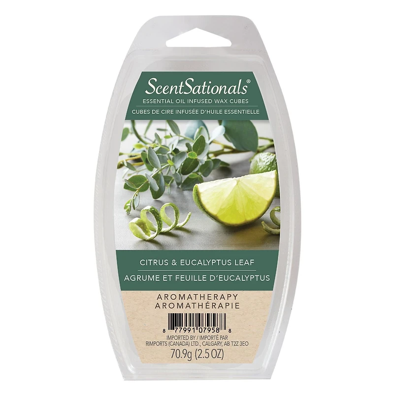 ScentSationals Scented Essential Oil Wax Cubes - Citrus & Eucalyptus Leaf