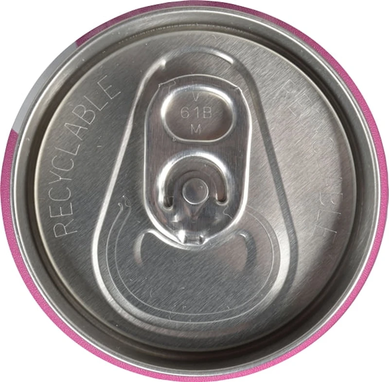 LOOP Mission Sparkling Iced Tea, Low Calorie, Peach Black Tea, Upcycled Real Fruit Juice, 355 mL, 1 Count, Can