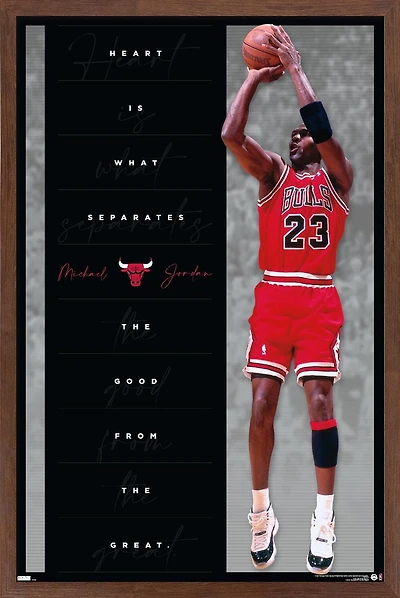 Michael Jordan - Heart Wall Poster, 22.375" x 34"