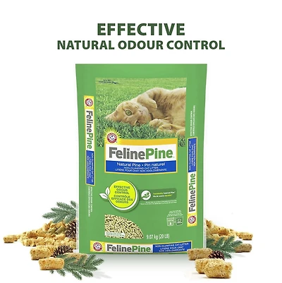 Litière pour chat naturelle non agglomérante Feline Pine Arm & Hammer, 9,07 KG, parfum naturel de pin, contrôle efficace des odeurs, sécuritaire pour les chatons Pin naturel