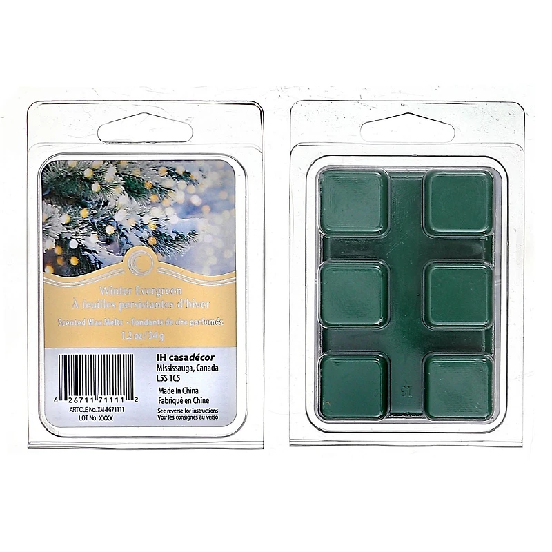 Noël 6Pk Cire Fond À Feuilles Persistantes D'Hiver - Ensemble De 4