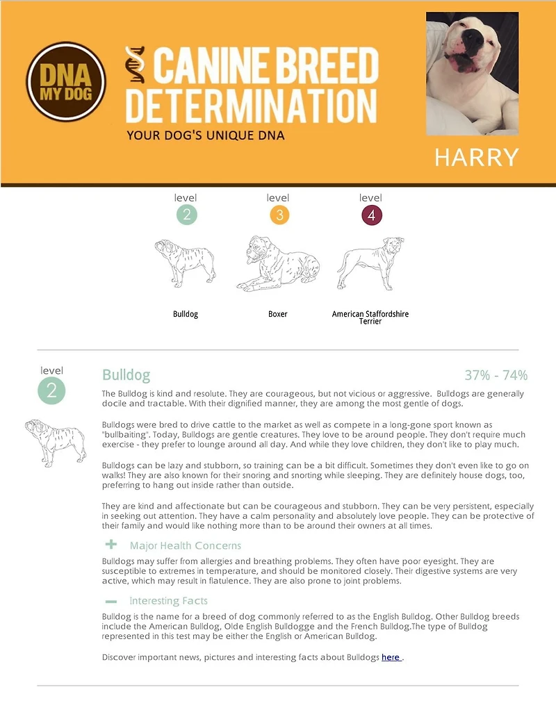 DNA My Dog Canine Breed Identification Test.