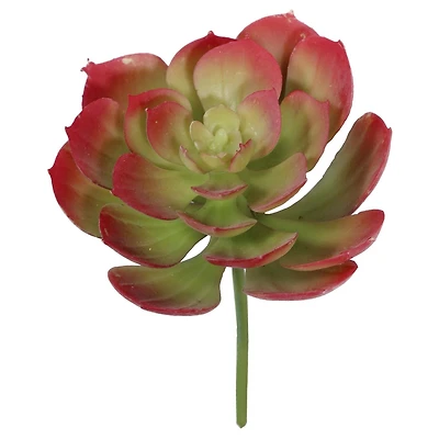 Tige de Plante Artificielle Succulente d'échévérie