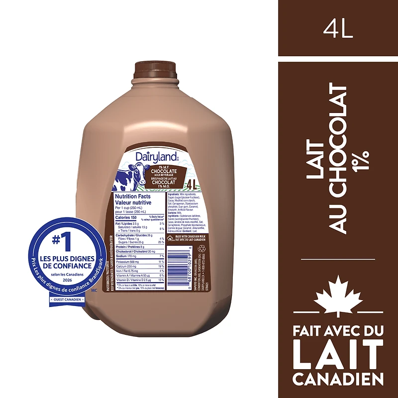 Dairyland Lait au Chocolat Partiellement Écrémé 1 %