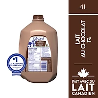 Dairyland Lait au Chocolat Partiellement Écrémé 1 %