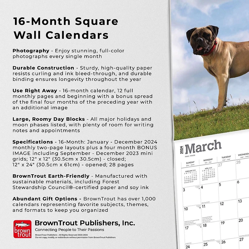 BrownTrout Bullmastiffs 2024 Mur Carré 30.48x60.96 CM, 9781975470685